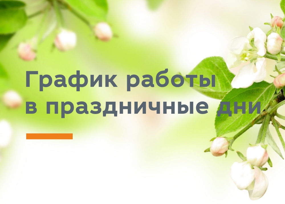 ГРАФИК РАБОТЫ В ПРАЗДНИЧНЫЕ ДНИ